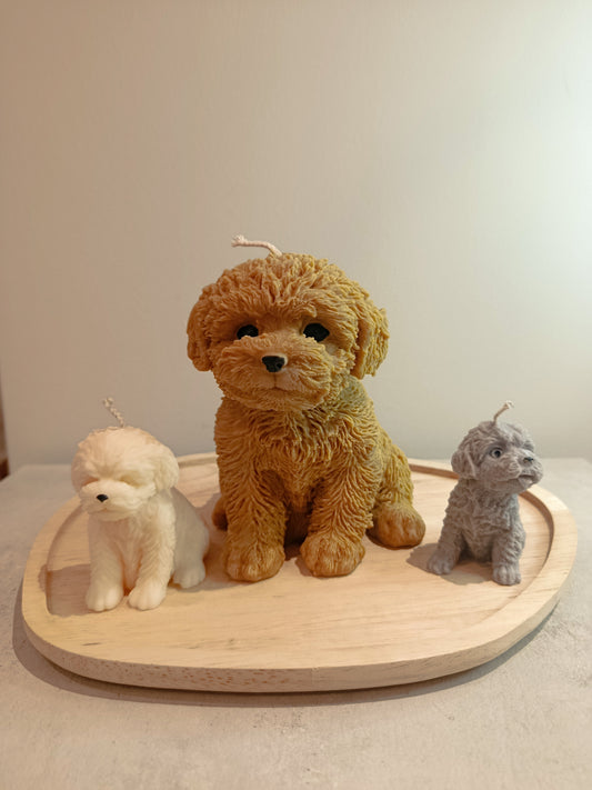 puppys